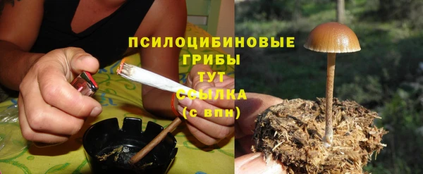 гашиш Аркадак