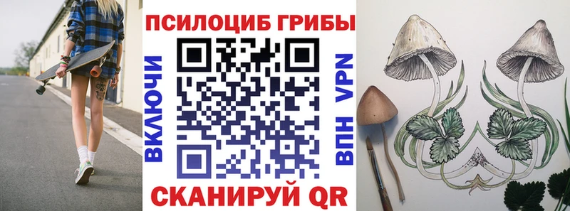 Галлюциногенные грибы Cubensis  mega сайт  Павловская 